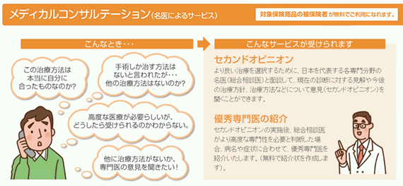 セカンドオピニオンサービス
